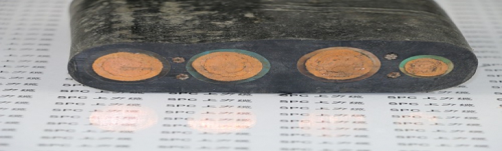 YGFBPG硅橡膠絕緣耐油護(hù)套鋼絲加強(qiáng)屏蔽扁電纜  SPCFLAT-SR-GCFG硅橡膠扁電纜