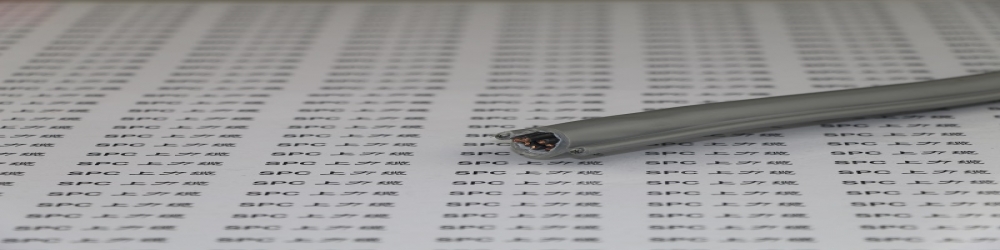 SPCCRANE-PVC-2YY1G單鋼絲高抗拉行車手柄電纜  高強度自承式鋼索電纜