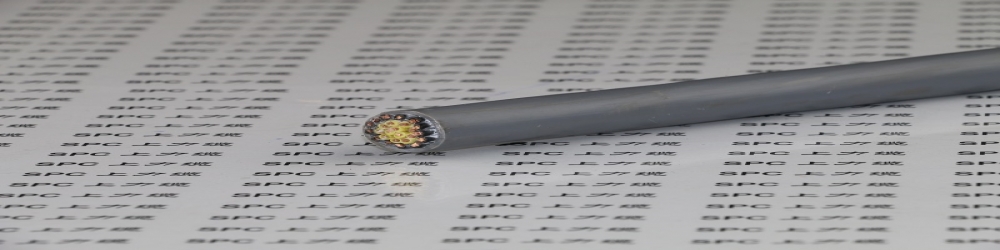 ?DJVP2V22 聚氯乙烯護套鋼帶鎧裝計算機電纜