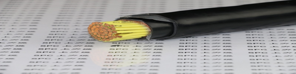 ?DJFVP2氟塑料絕緣銅帶繞包總屏蔽聚氯乙烯護套計算機電纜  ZR-DJFVP2阻燃計算機屏蔽電纜