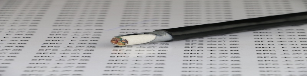 ?DJFP2V22氟塑料絕緣銅帶繞包組屏蔽聚氯乙烯護(hù)套鋼帶鎧裝計算機(jī)電纜  ZR-DJFP2V22阻燃計算機(jī)屏蔽電纜