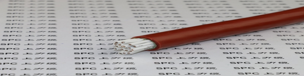 ?DJGPG22硅橡膠絕緣編織組屏蔽硅橡膠護套鋼帶鎧裝計算機電纜  ZR-DJGPG22耐高溫計算機阻燃電纜