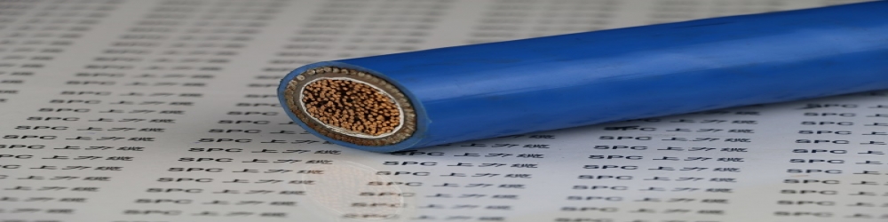 ?DJYPV32聚乙烯絕緣編織組屏蔽聚氯乙烯護套鋼絲鎧裝本安計算機電纜  ZR-DJYPV32本安計算機分組屏蔽鋼帶鎧裝電纜