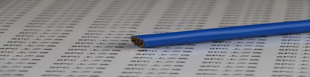 ?IA-DJVVP2-22聚氯乙烯絕緣銅帶繞包總屏蔽聚氯乙烯護套鋼帶鎧裝本安計算機電纜  ZR-IA-DJVVP2-22本安防爆屏蔽電纜