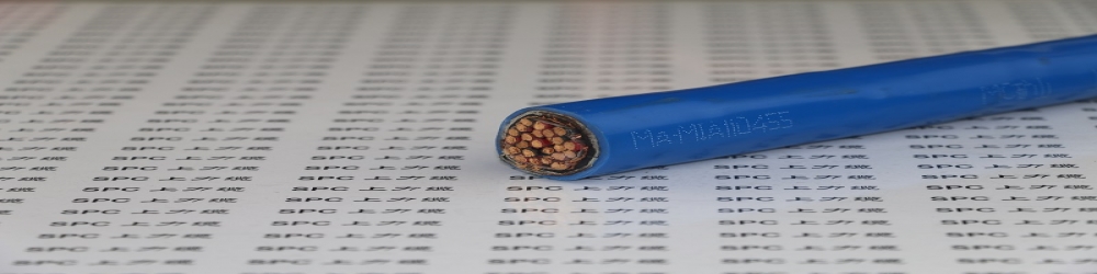 ?IA-DJVP2VP22銅帶繞包組屏蔽編織總屏蔽聚氯乙烯護套鋼帶鎧裝本安計算機電纜  ZR-IA-DJVP2VP22本安防爆電纜