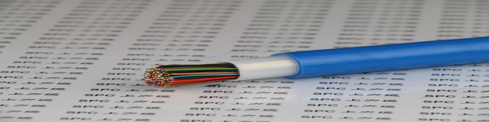 ?IA-DJVP2VRP22銅帶繞包組屏蔽編織總屏蔽聚氯乙烯護套鋼帶鎧裝本安計算機軟電纜  IA-DJVP2VRP22本安計算機軟電纜