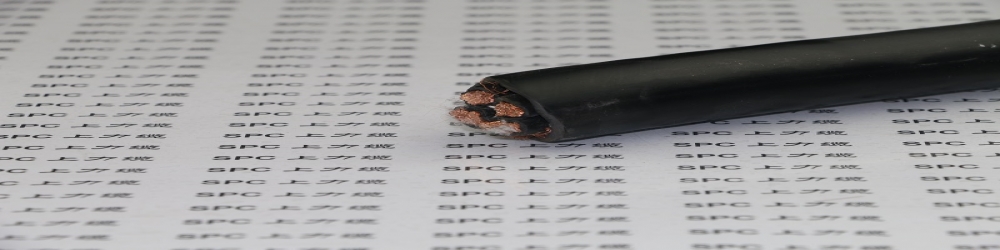 BPYJPVP交聯聚乙烯絕緣聚氯乙烯護套銅絲編織分屏蔽及總屏蔽變頻電纜  SPCFC-PVC-2YCCY變頻專用電纜