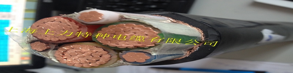 ?BPYJVRP3P交聯聚乙烯絕緣聚氯乙烯護套鋁塑復合帶繞包銅絲編織屏蔽變頻軟電纜  SPCSFC-PVC-2Y(L)CY變頻專用電纜