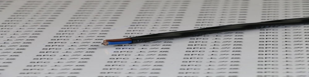 SPCMOTOR-250-FF電機繞組引接多芯軟電纜  H級引接線